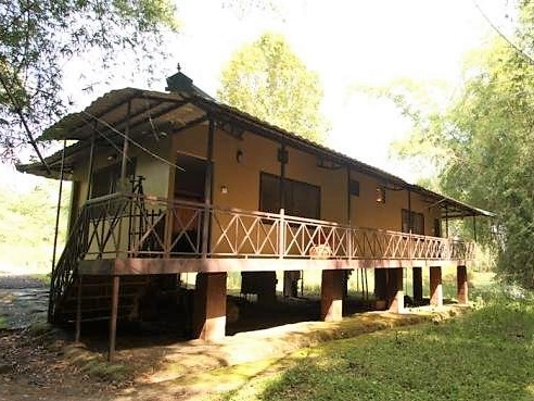 Jungle Hut