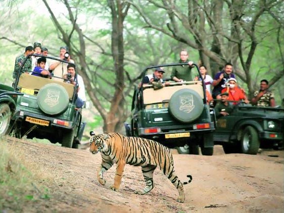 Kudremukh National Park