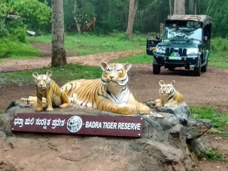 Bhadra wildlife Sanctuary