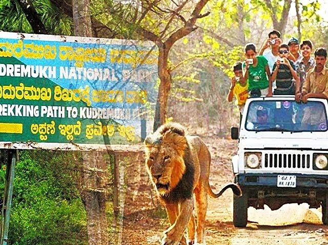 Kudremukh National Park