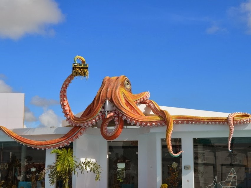 India Seashell Museum