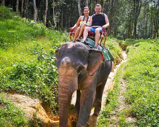 The Elephant Ride