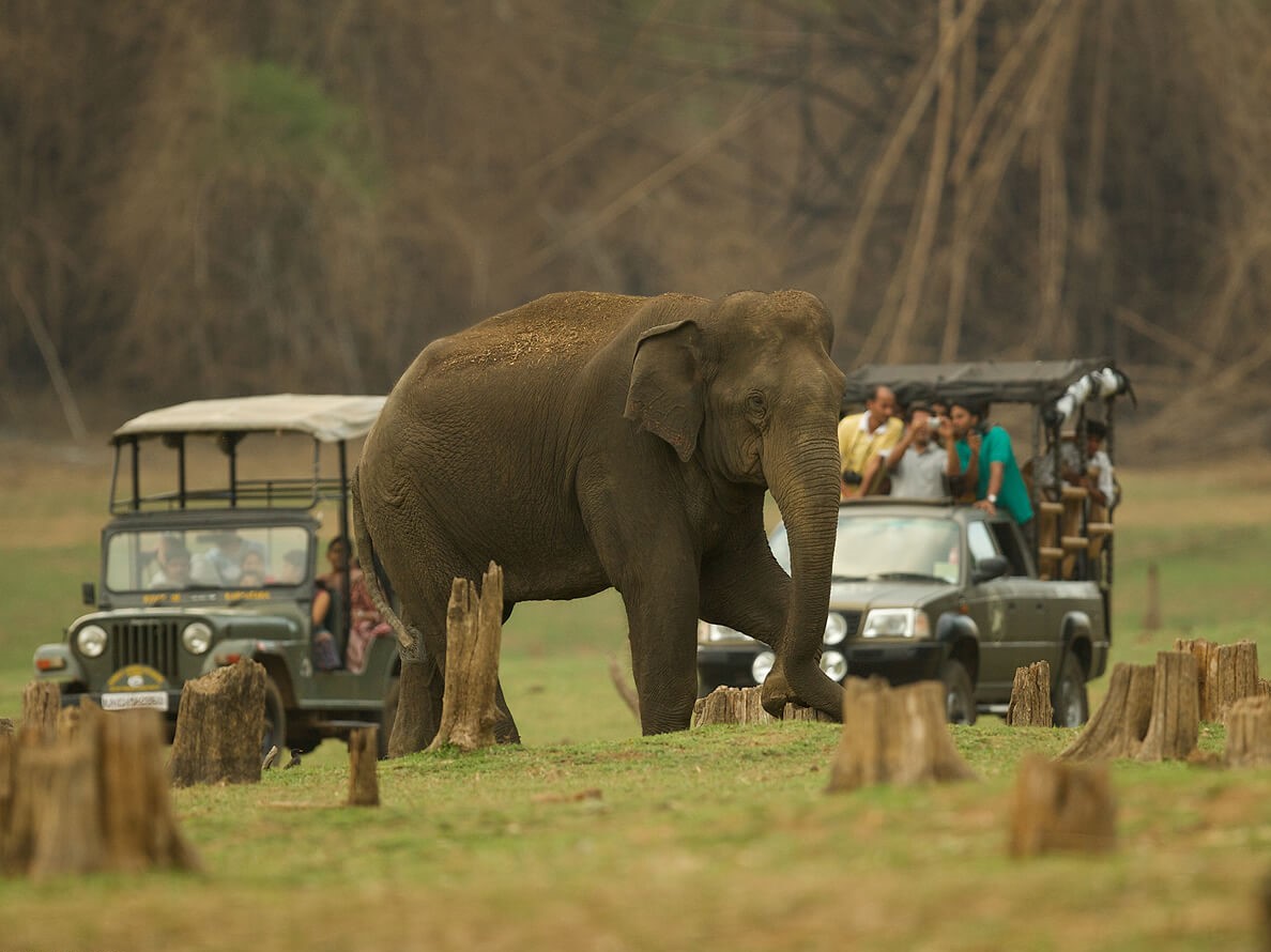 Jeep Safari