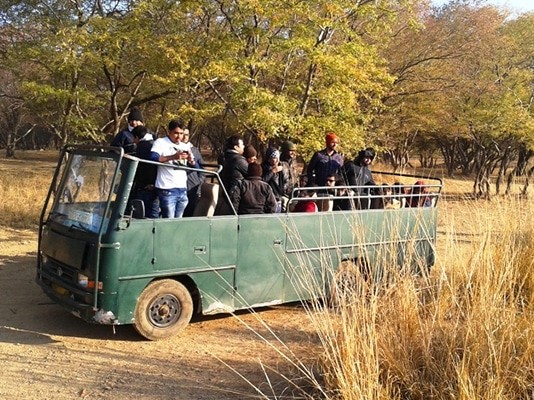 Mini-bus Safari - Bandipur