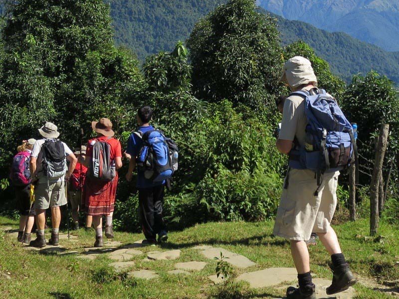 Nature Walk at Bandipur