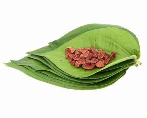 Mysore betel leaves