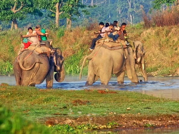 Elephant Safari