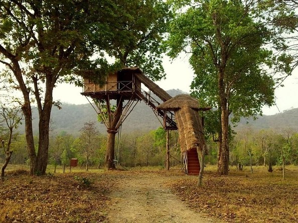 Mudumalai Wildlife Sanctuary