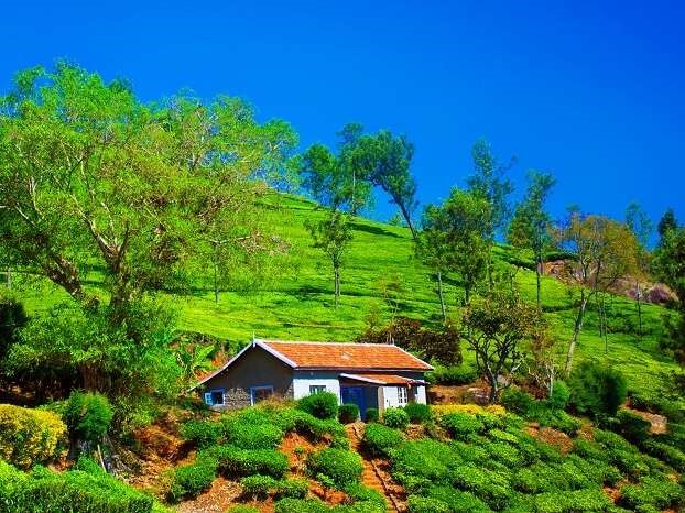 Coonoor