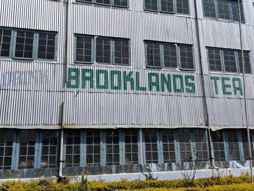 Brooklands Tea Factory & Factory Outlet