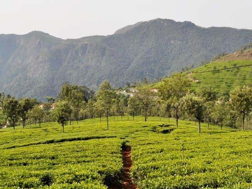 Lady canning's seat coonoor