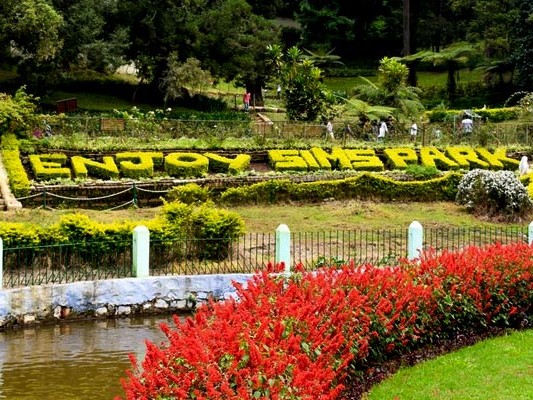 Sim’s Park