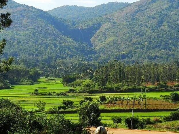 Kolli Hills