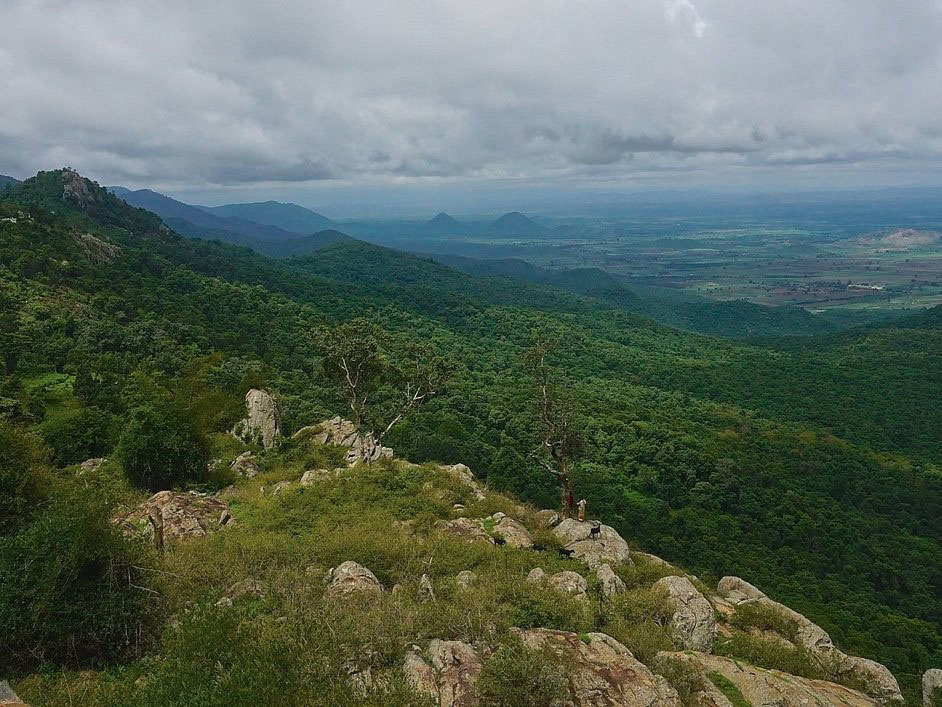 Biligiriranga Hills