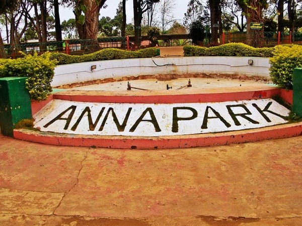 Anna Park