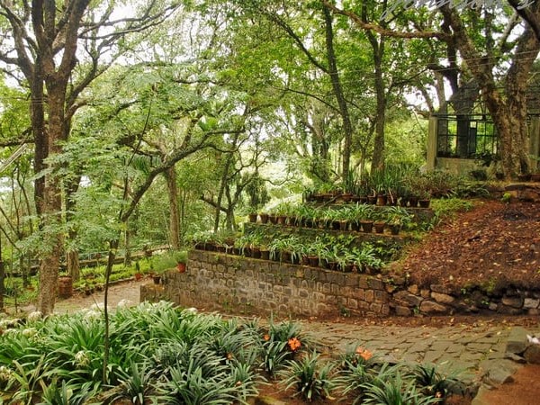 Orchidarium