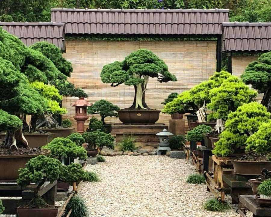 Bonsai Garden of Japanese