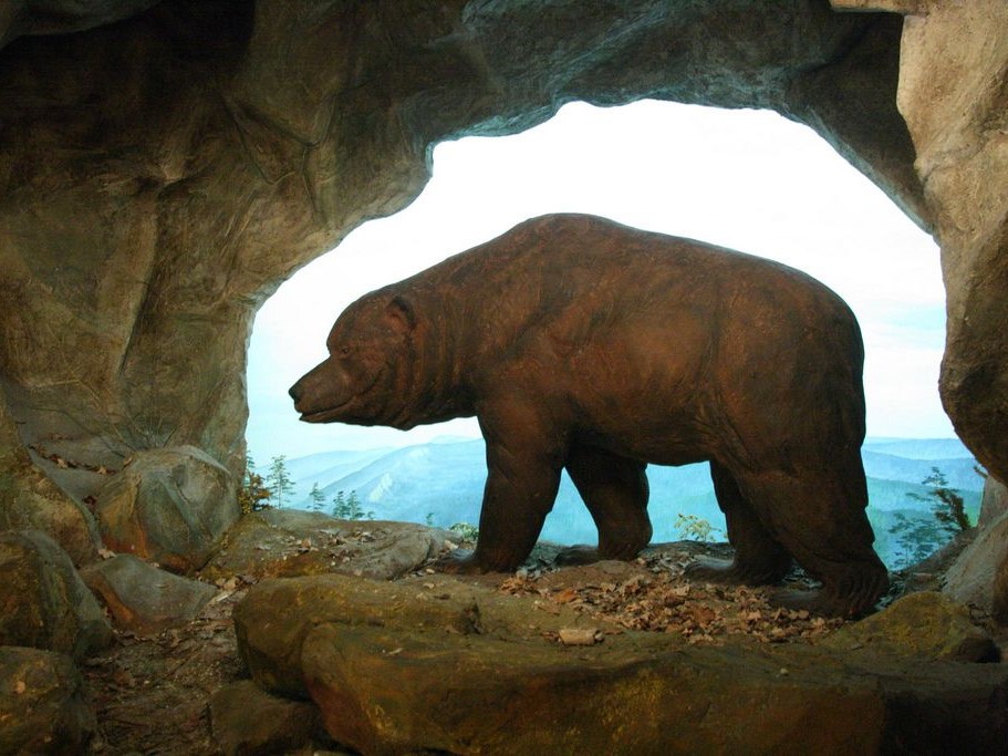 Bears Cave
