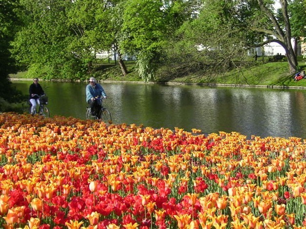 Silk Farm and Rose Garden