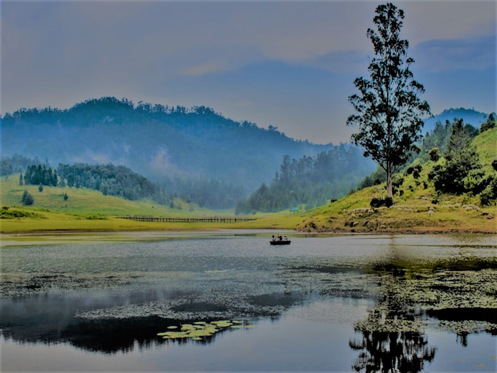 Yelagiri