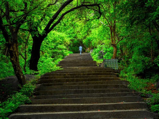 Nature Park