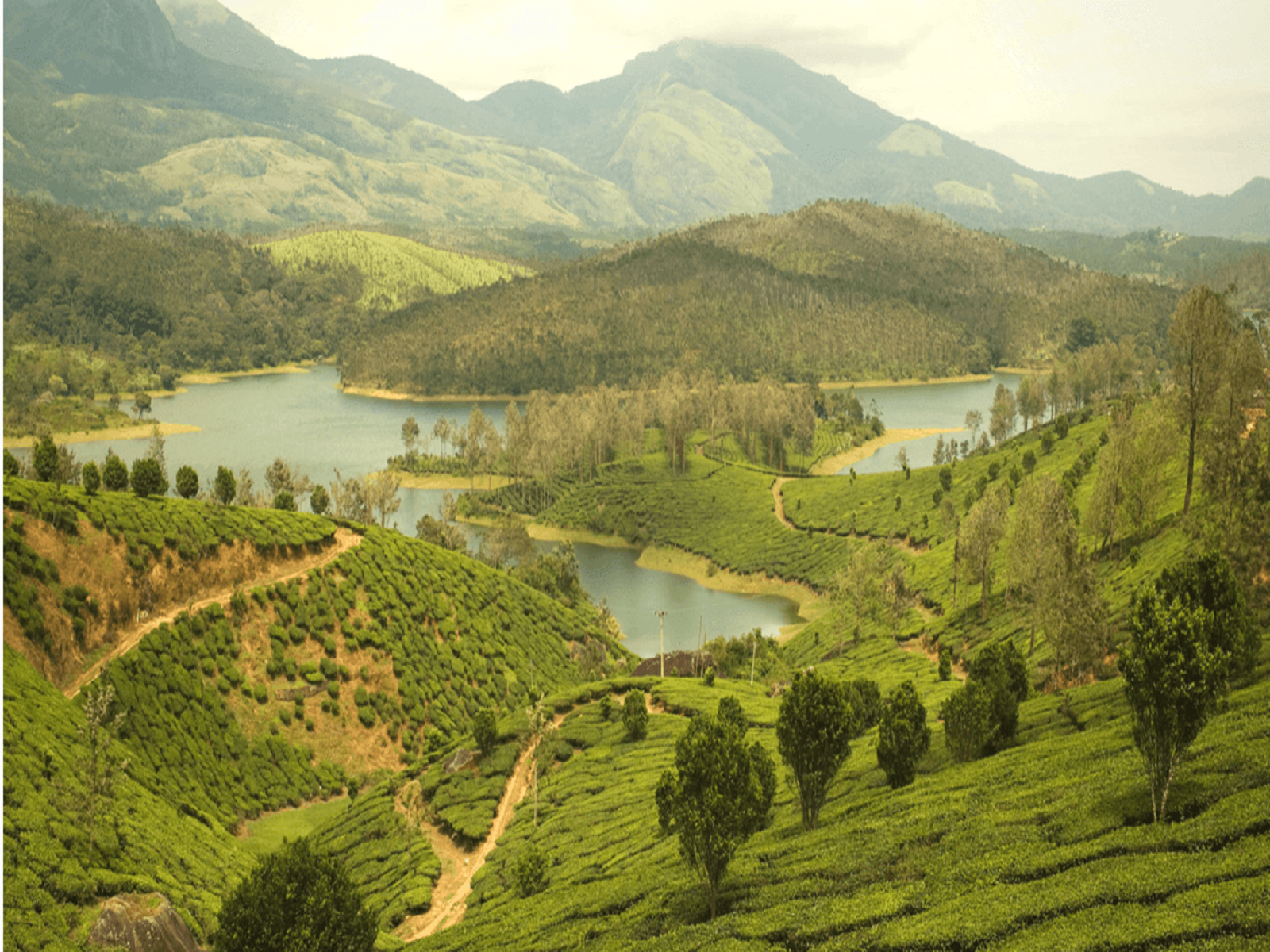 Yelagiri