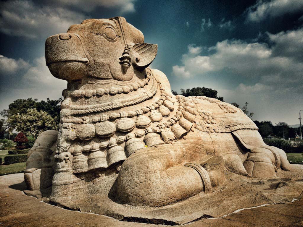 Nandi bull