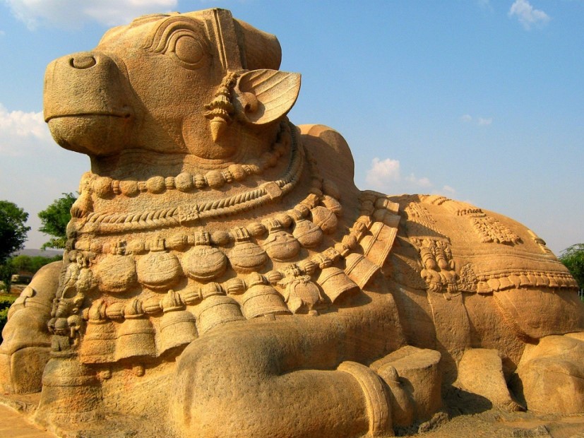 Nandi Bull