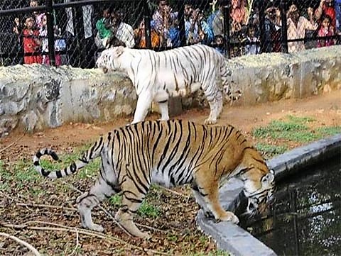 Amirthi Zoological Park