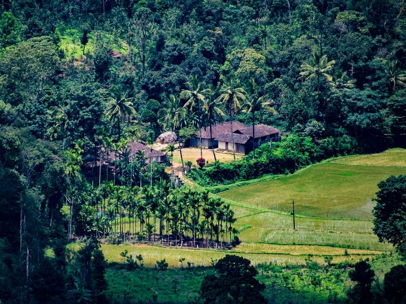 Coorg