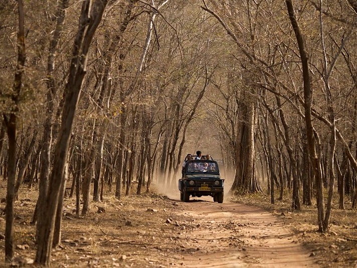 Jeep Safari