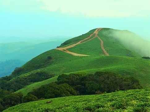 Mandalpatti