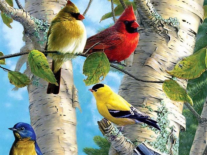 Ranganathittu Bird Sanctuary