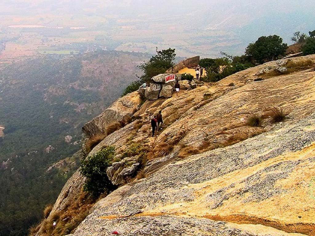 Tipu's drop