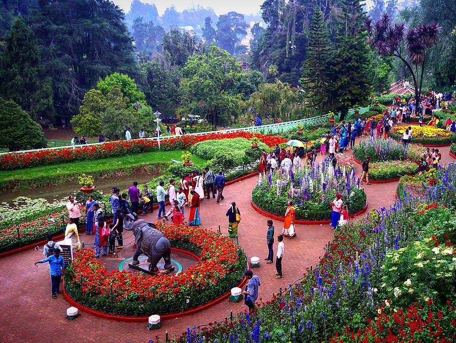 OOTY