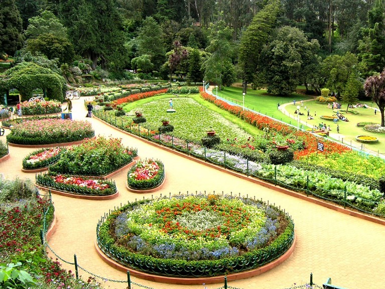 Ooty