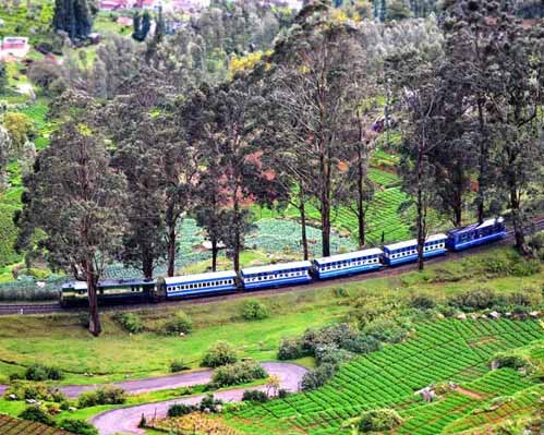 Ooty Toy Train