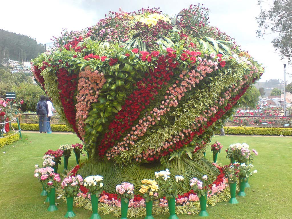 Rose Garden