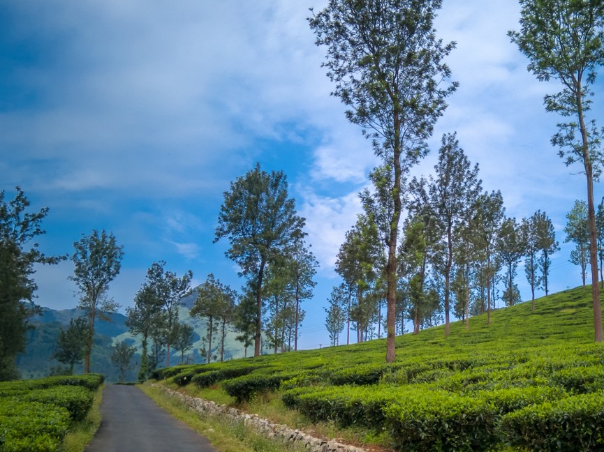 Wayanad