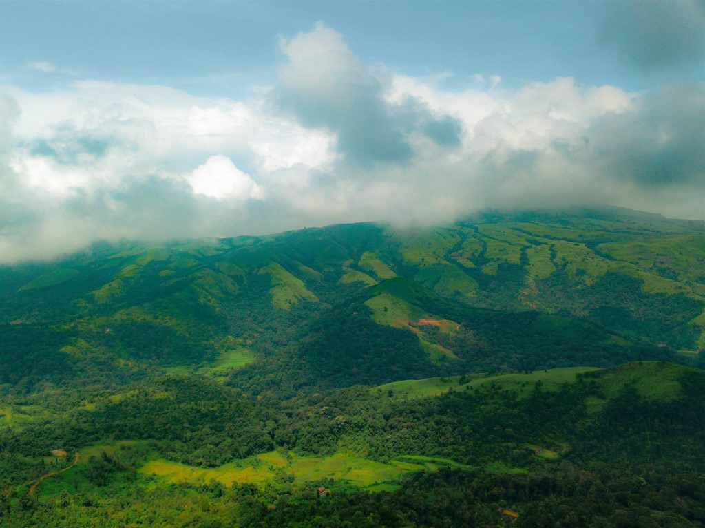 Wayanad