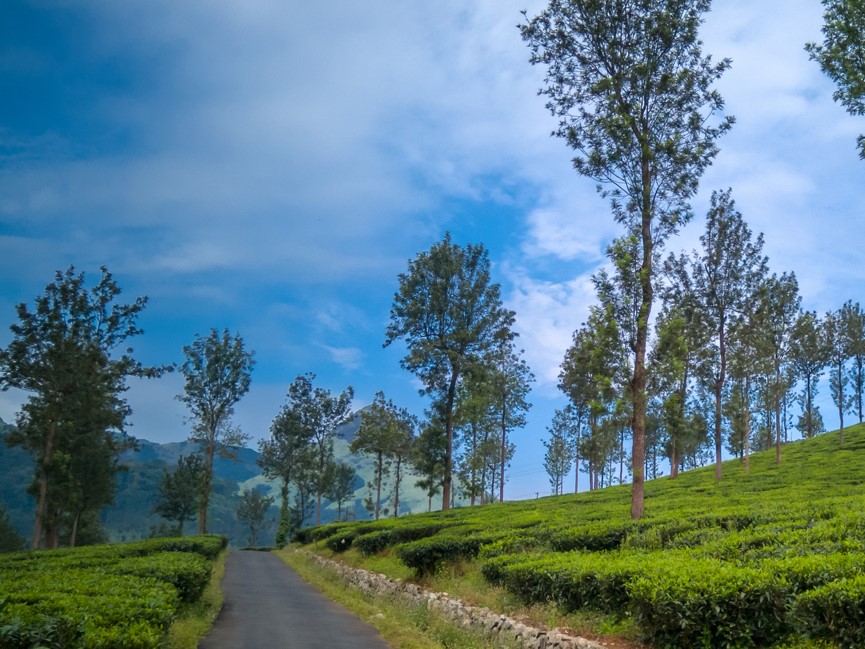 Wayanad